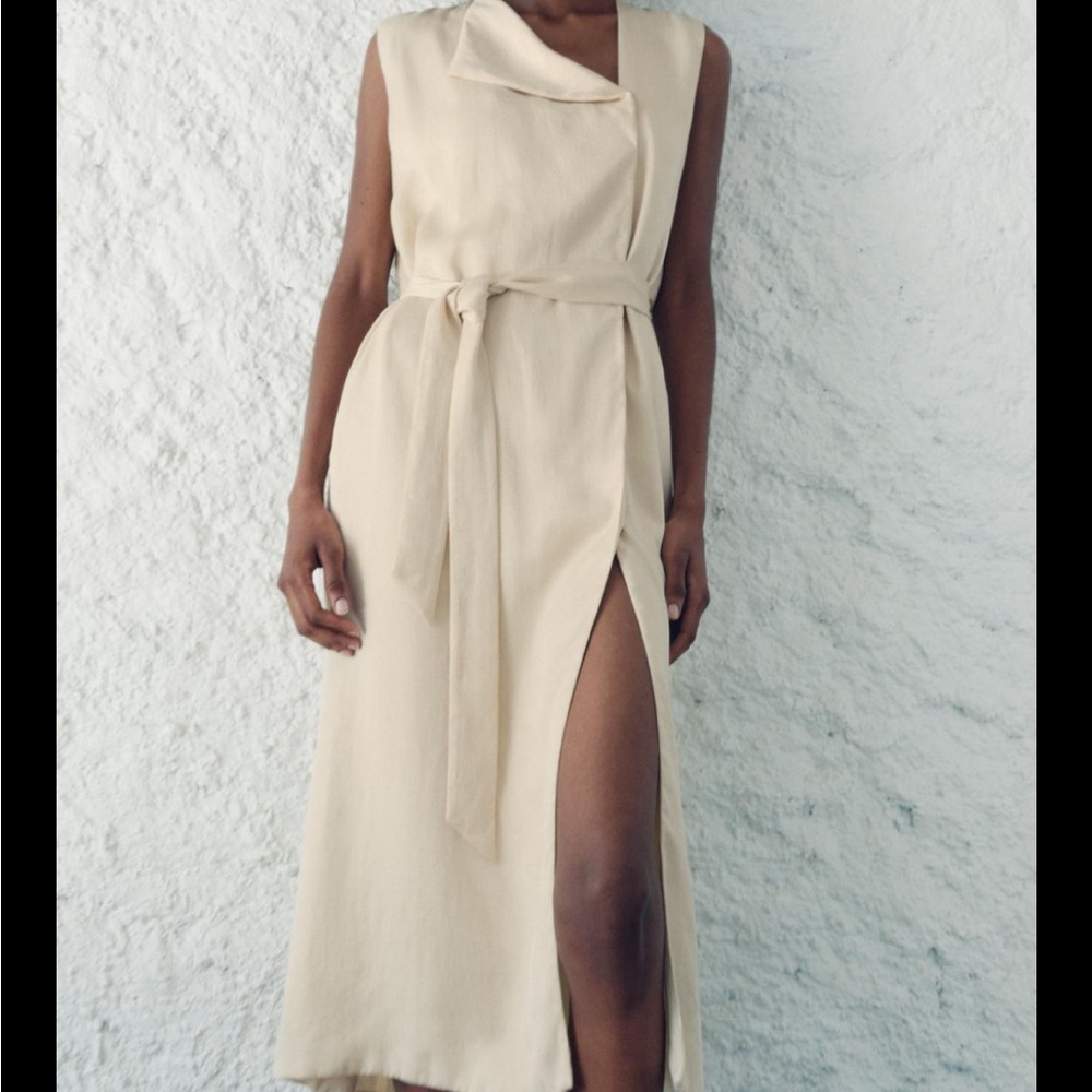 Zara dress with pleated back